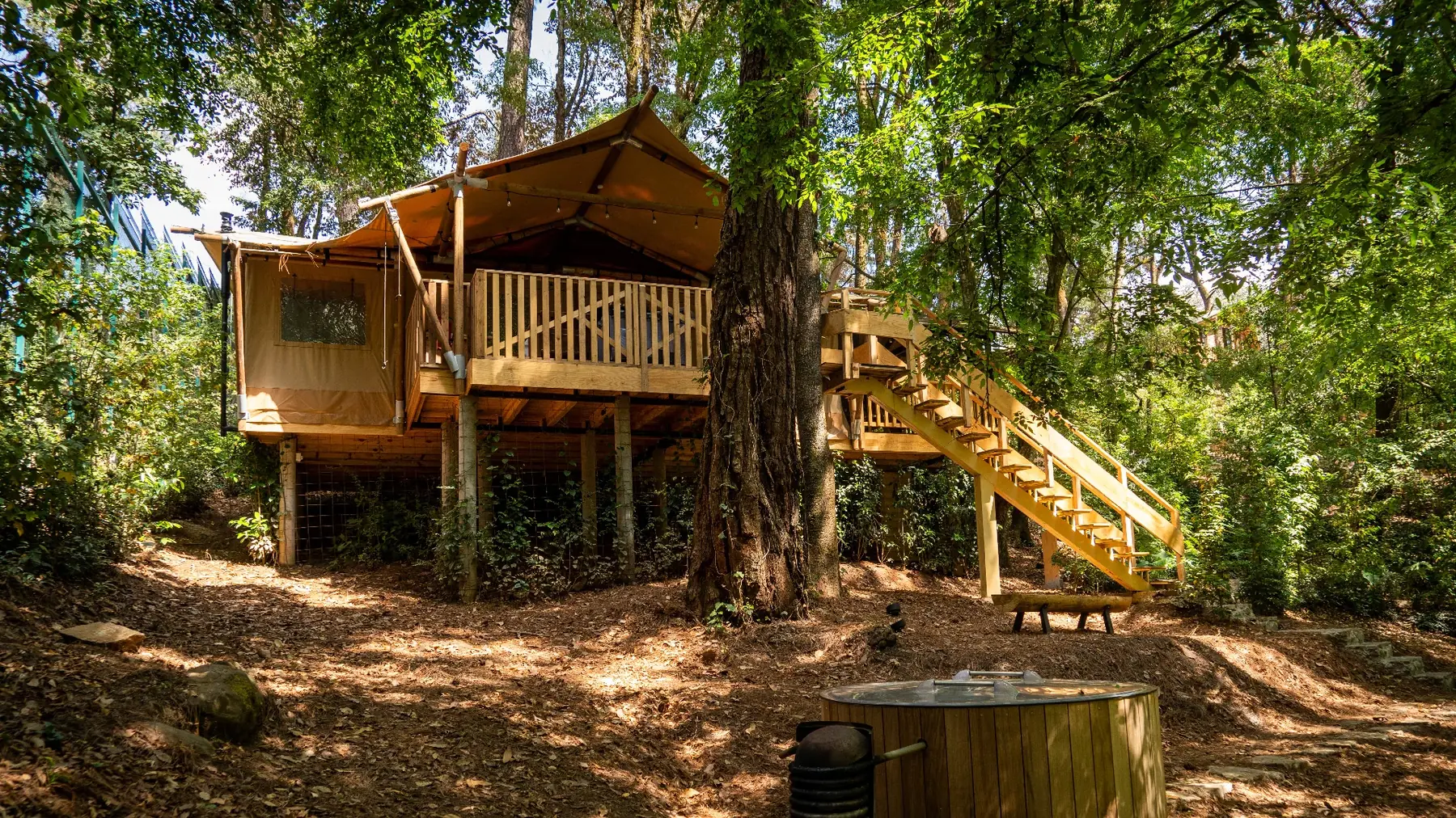 Cabaña de glamping iluminada entre los árboles al atardecer